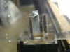 DSC01038.jpg