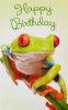 frog happy bday.jpg