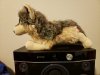 20200612_213202.jpg