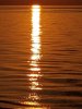 20190926_033332.jpg