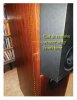 Veneer repair.jpg