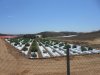 DSCN8251.jpg