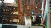 1180dc_12.jpg
