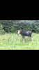 3CB314C4-6FD3-48A7-96D0-7C76D6706975.png