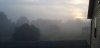 20200729_063634.jpg