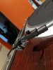 IMG_20200809_172706.jpg