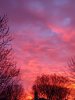 IMG_20200312_073158101.jpg