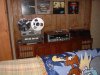 Picture 040.jpg