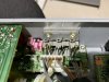 6358705B-BD80-49DB-9822-4BF4AE00D3C3.jpeg
