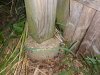 20200818_225358.jpg