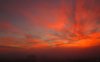 sun 007.jpg