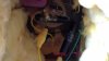 WIN_20200822_14_20_48_Pro.jpg