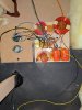 IMG_20200912_122910.jpg