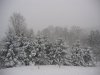 2008-0101 Chapel Hill Road.jpg