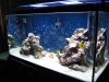 tank2007-09-09083_zpsfmqmduf2_32889112987_o.jpg