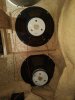 IMG_20201004_1246458.jpg