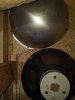 IMG_20201004_1247058.jpg