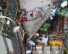 2230 P300 under wires purple and green.jpg