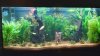 resized_Aquarium.jpg