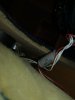 ED900127-E987-4CF6-BD77-D5BDBE5BE0B9.jpeg