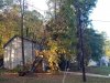 tropical_storm_zeta_tree_down_across_street.jpg