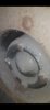 Screenshot_20201119-044916_Video Player.jpg