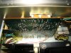 DSC00887_resize.JPG