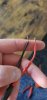 20201206_152023.jpg