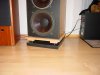 DSC07347.JPG