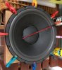 EV_12inch woofer.JPG