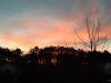 20201219_071633.jpg