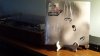 20201219_155511.jpg