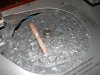 DSCN3204.jpg