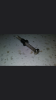 Screenshot_2021-01-06-20-03-52.png