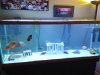 IMG_20210109_205930.jpg