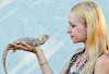 .girlizard.jpg