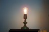 Bulb 001.jpg