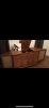 720290FE-C275-4B11-A5B7-0AD6F6B61E60.png