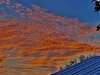 B27744D3-A837-4140-B428-D7CB5FFD05CC.jpeg