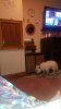 20210219_000426.jpg
