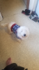 upload_2021-2-19_7-3-30.png