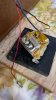 IMG_6014.jpeg