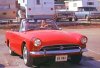 tunnelram.net_get-smart_sunbeam_tiger.jpg