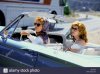 tl1 susan-sarandon-geena-davis-thelma-and-louise-1991-RYCK4F.jpg