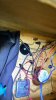 IMG_6081.jpeg