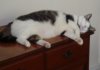 DSC00726.JPG