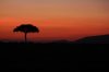 Africa-2920.jpg