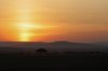 Africa-2921.jpg