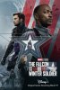 Falcon and the Winter Soldier.jpg Falcon and the Winter Soldier.jpg