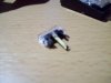 100_7311.jpg